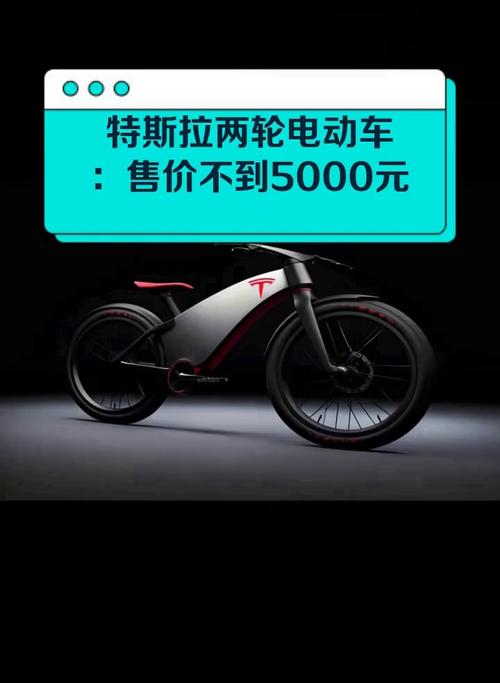 特斯拉双牌狂飙:两车牌彰显科技与个性魅力!
