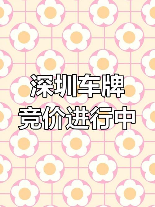 深圳车牌平民靓号,价格亲民,抢购热潮来袭
