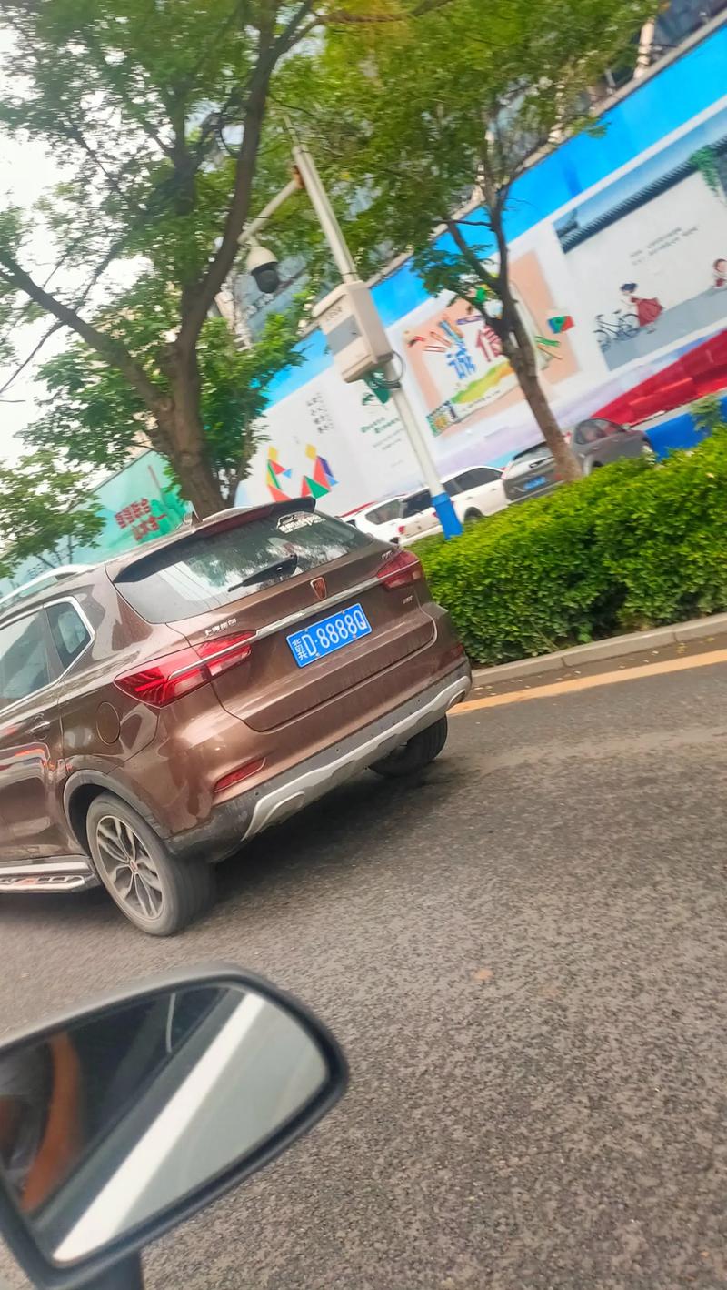 邯郸摇号车牌靓号,车牌号码背后的故事