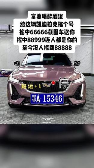 邯郸摇号车牌靓号,车牌号码背后的故事