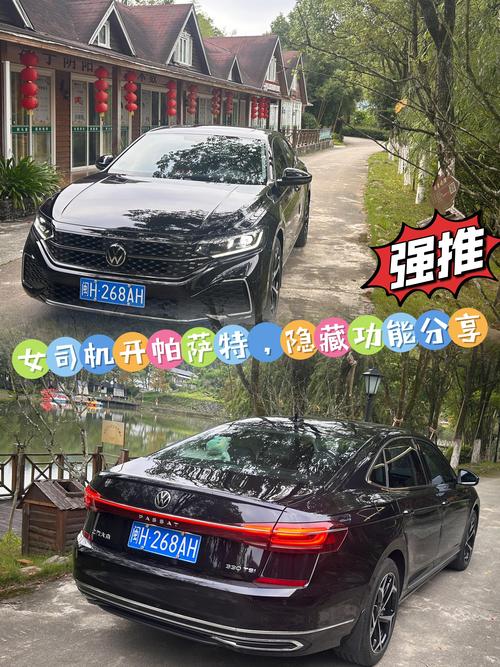 帕萨特车牌螺丝松动引发热议,车主如何安全行车?