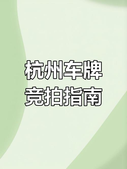 杭州车牌竞价网站火爆,车主抢购热潮迭起