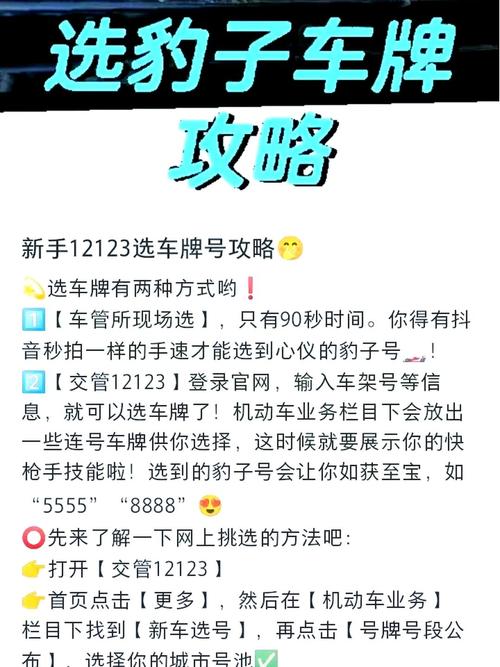 上海靓号车牌轻松选,攻略车牌号码背后的秘密
