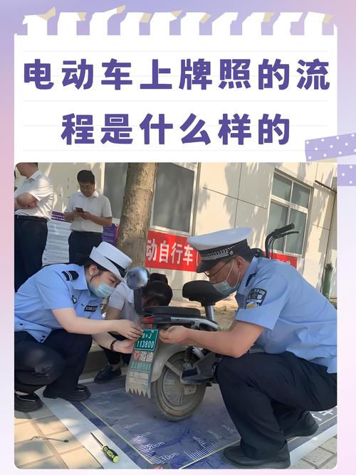 教你轻松搞定电动车车牌购买攻略