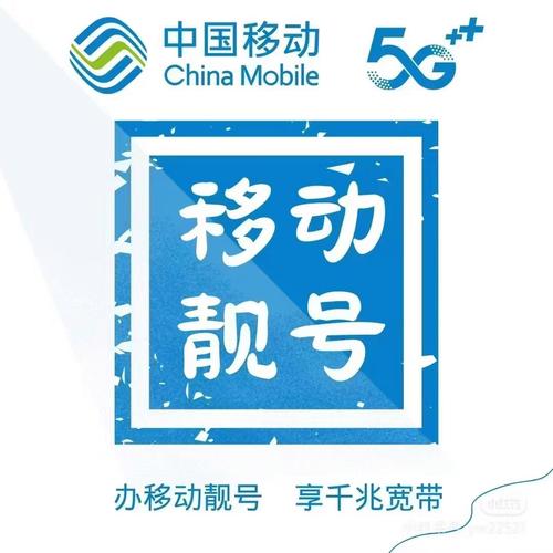 台州车牌靓号价格飙升,热门靓号竟高达数十万!