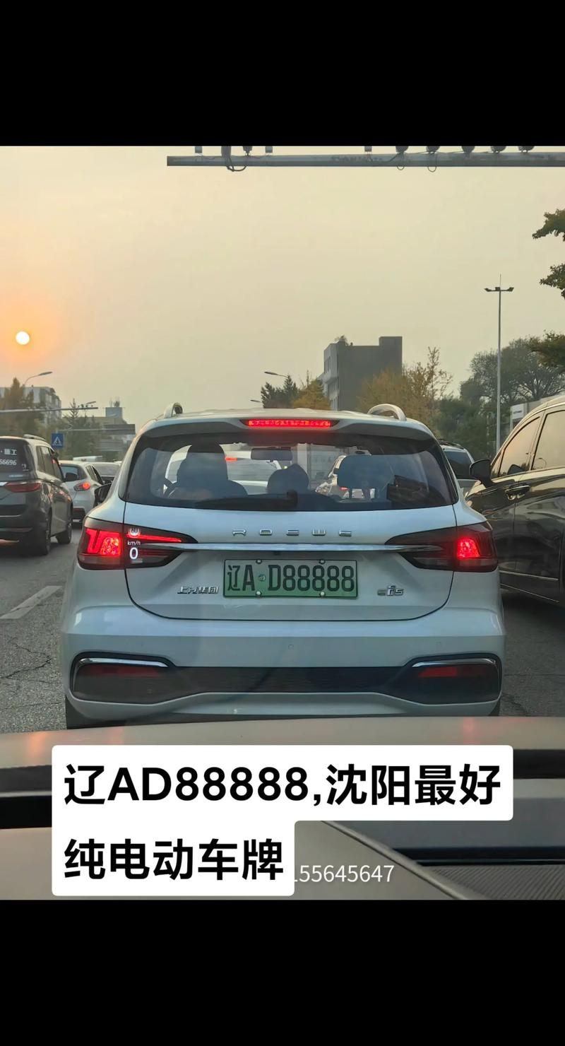 沈阳车牌辽A00001亮相,开启城市尊贵传奇之旅
