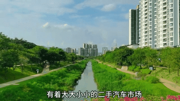闽牌豪车齐聚,福建车市新动态!