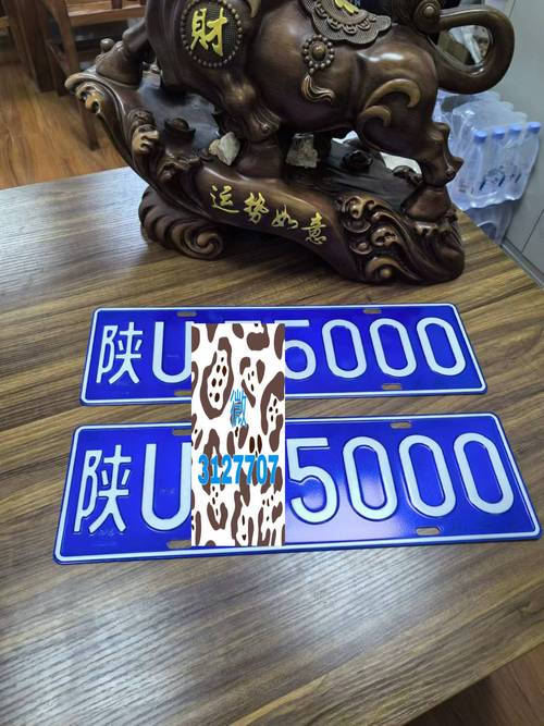 全国代办车牌靓号,车牌文化新风尚