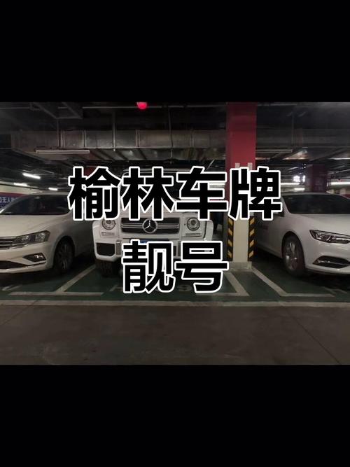 66666车牌靓号惊现,抢购热潮席卷车市!”