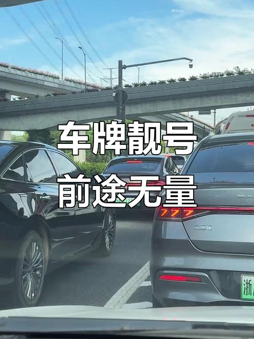 合肥车牌靓号惊现天价,市民热议车牌收藏新趋势!”