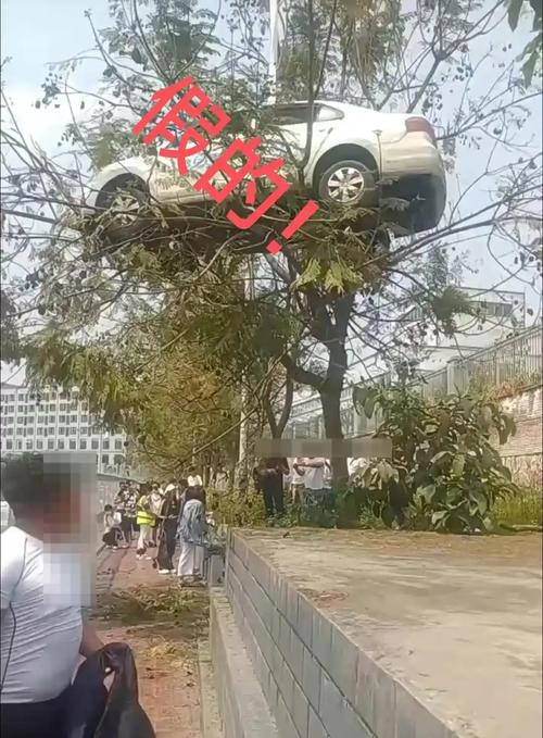 浙江树人大学车牌引发热议:车牌背后的大学传奇故事!