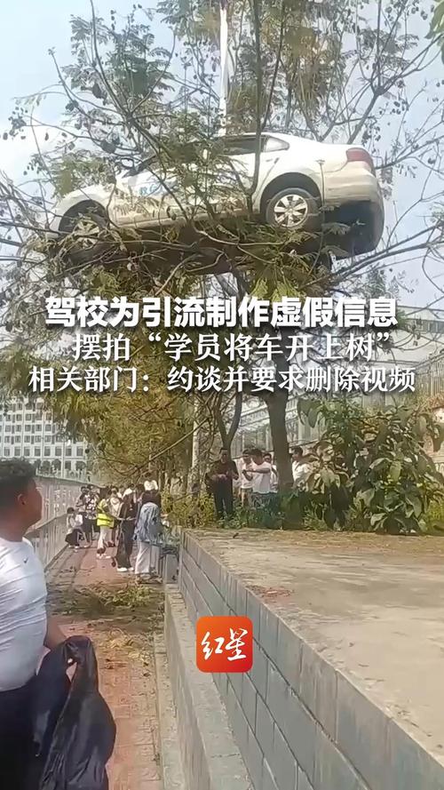浙江树人大学车牌引发热议:车牌背后的大学传奇故事!