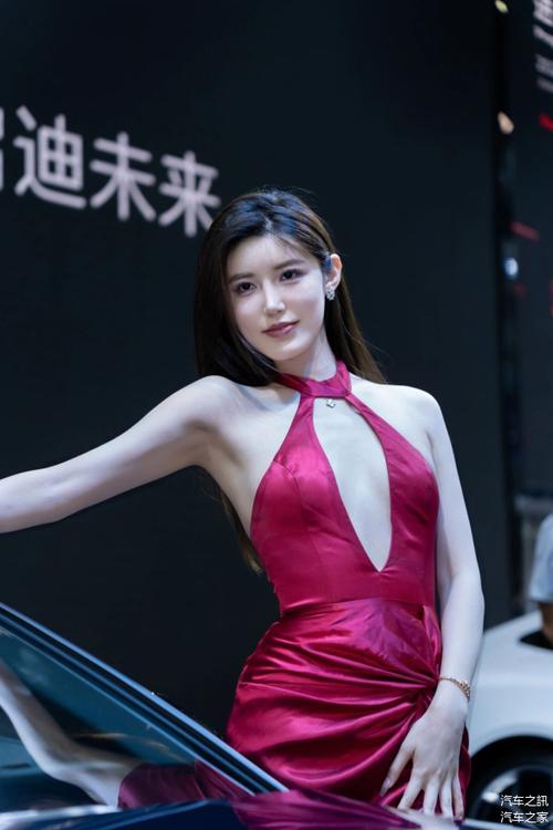 乌鲁木齐车牌靓号:车牌中的明星