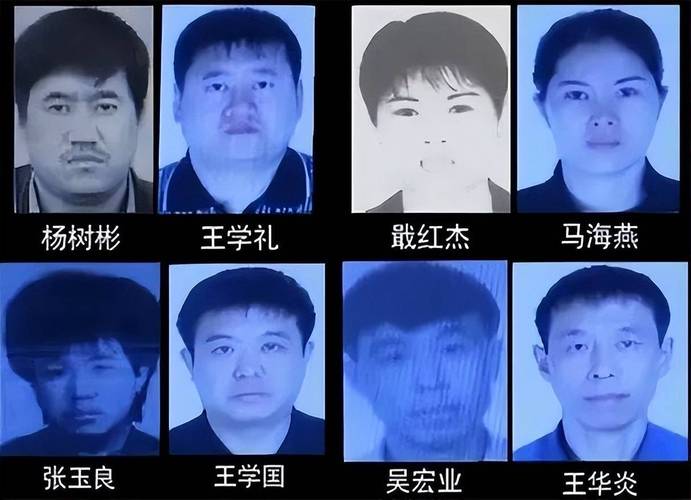哈尔滨车牌靓号骗局大:背后真相令人震惊!