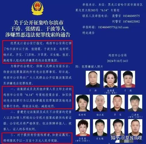 哈尔滨车牌靓号骗局大:背后真相令人震惊!