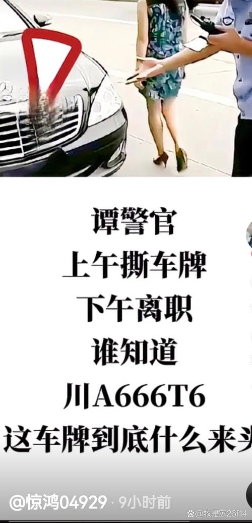 神秘车牌挂字引热议,背后神秘品牌!