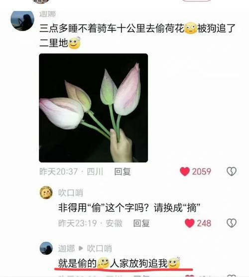 车牌号:你笑我号丑,我笑你脸大!
