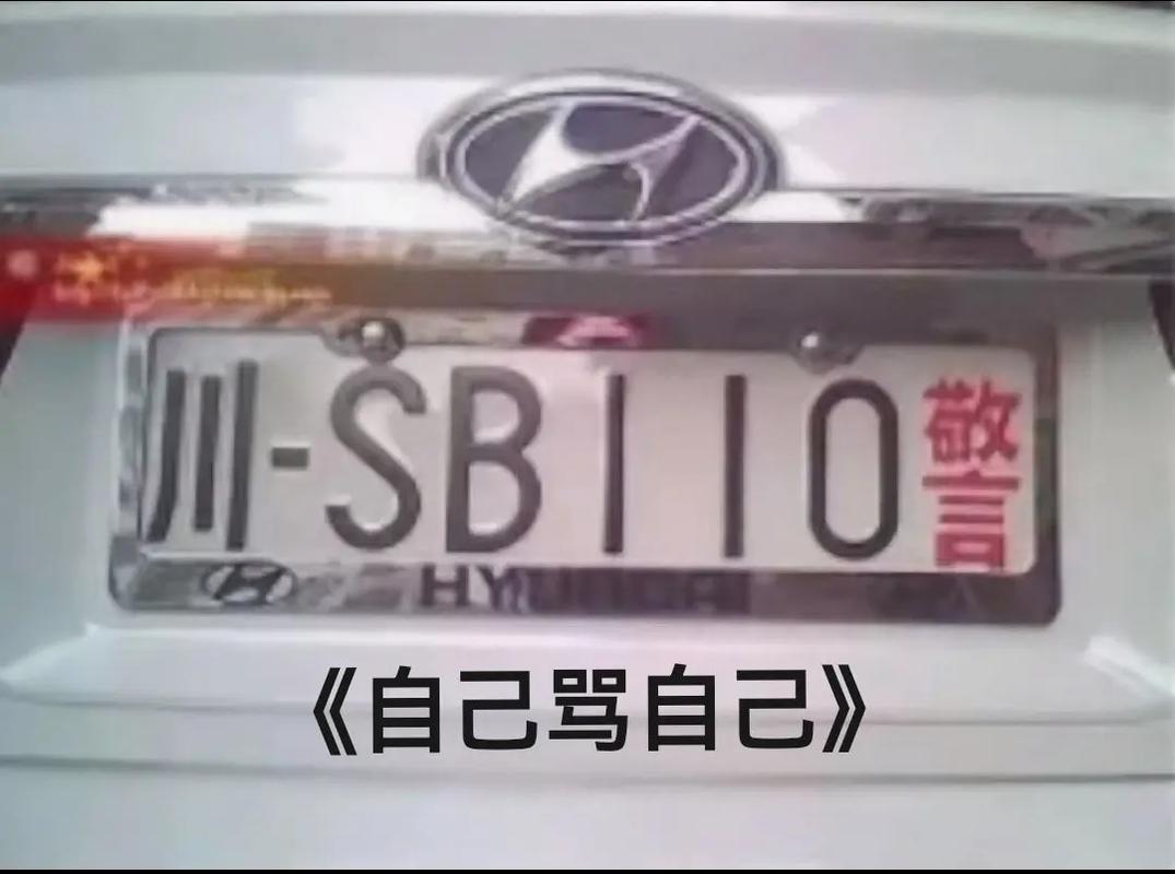 车牌号:你笑我号丑,我笑你脸大!
