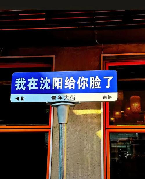 车牌号:你笑我号丑,我笑你脸大!