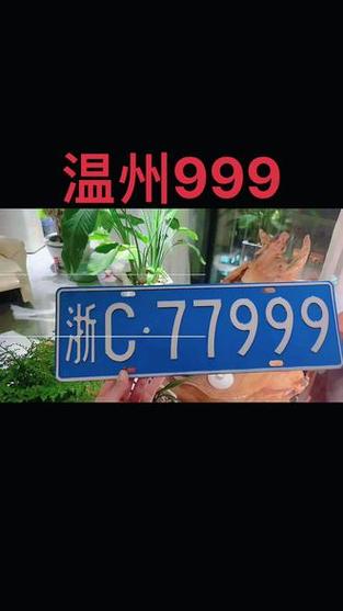 汽车牌照到手仅需3天,极速办理服务引热潮!