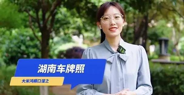 湖南车牌抢购热潮:靓号车牌一牌”难求,车主们争相出手!