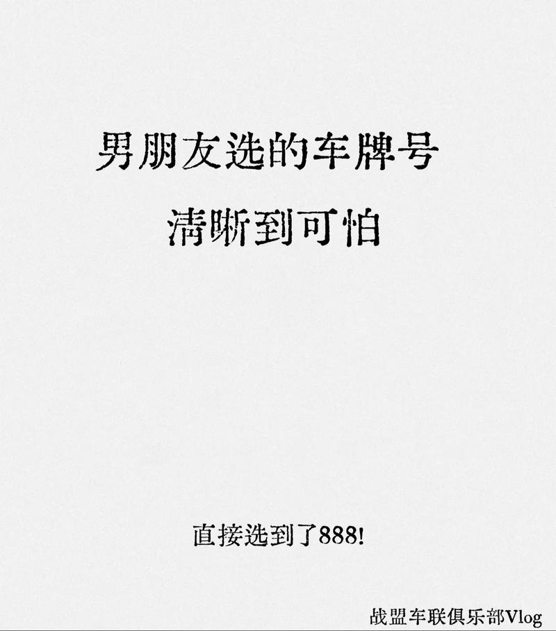 电动车牌照选号攻略:教你轻松挑选心仪牌照