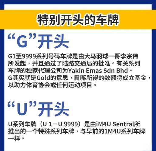 马来西亚车牌xx:神秘车牌背后的故事