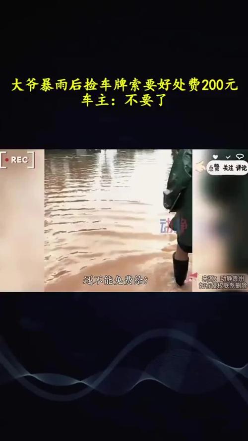 青岛暴雨中车牌失踪,市民急寻车牌引发热议!