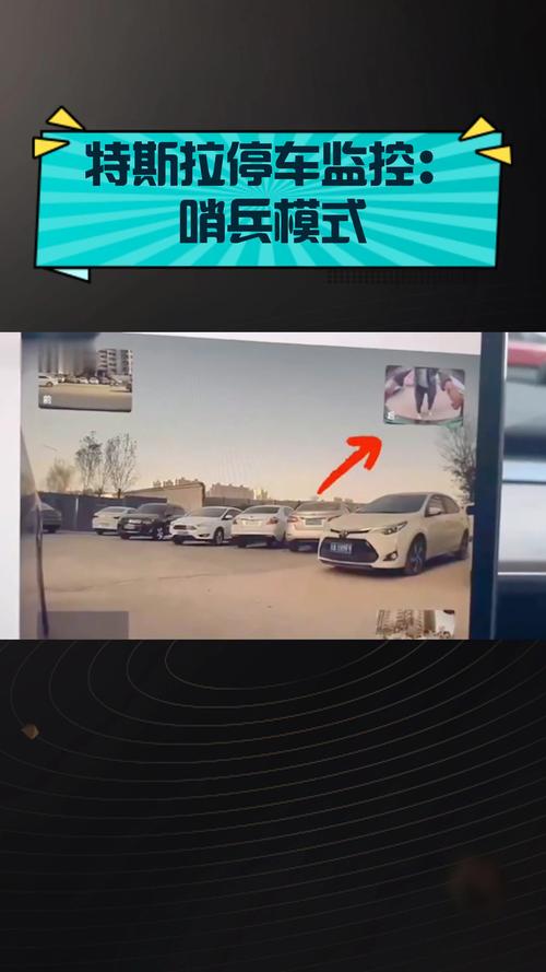 特斯拉临时车牌引发热议:新型停车神器还是安全隐患?