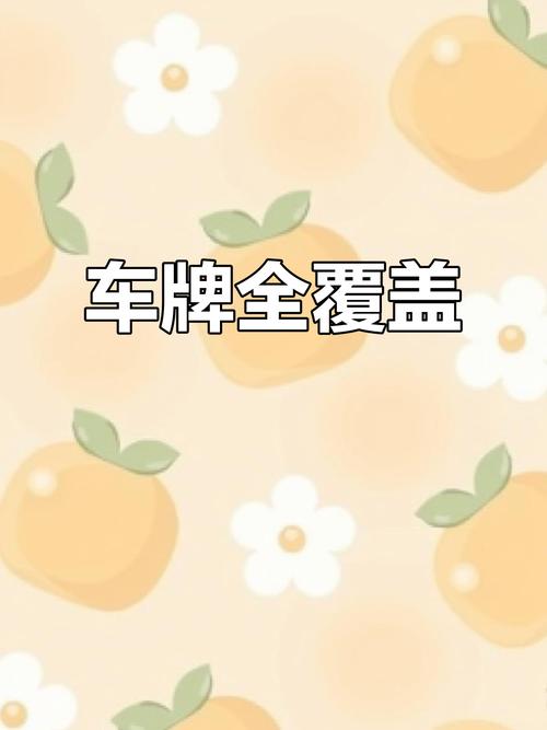 河南车牌价值飙升:价格几何?车牌新行情!