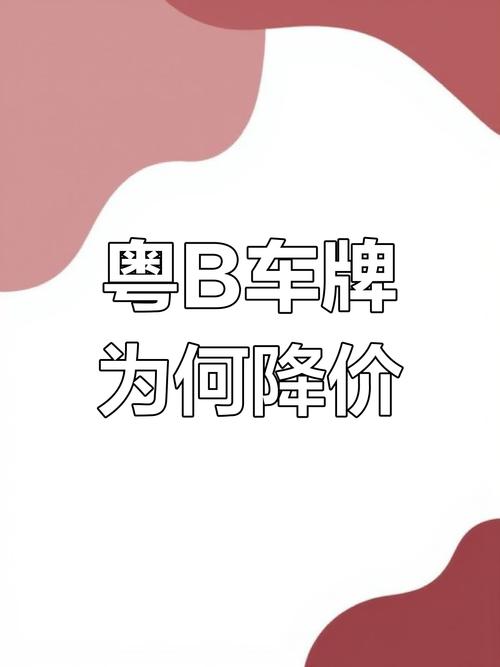 粤B车牌价格飙升:究竟值多少钱?