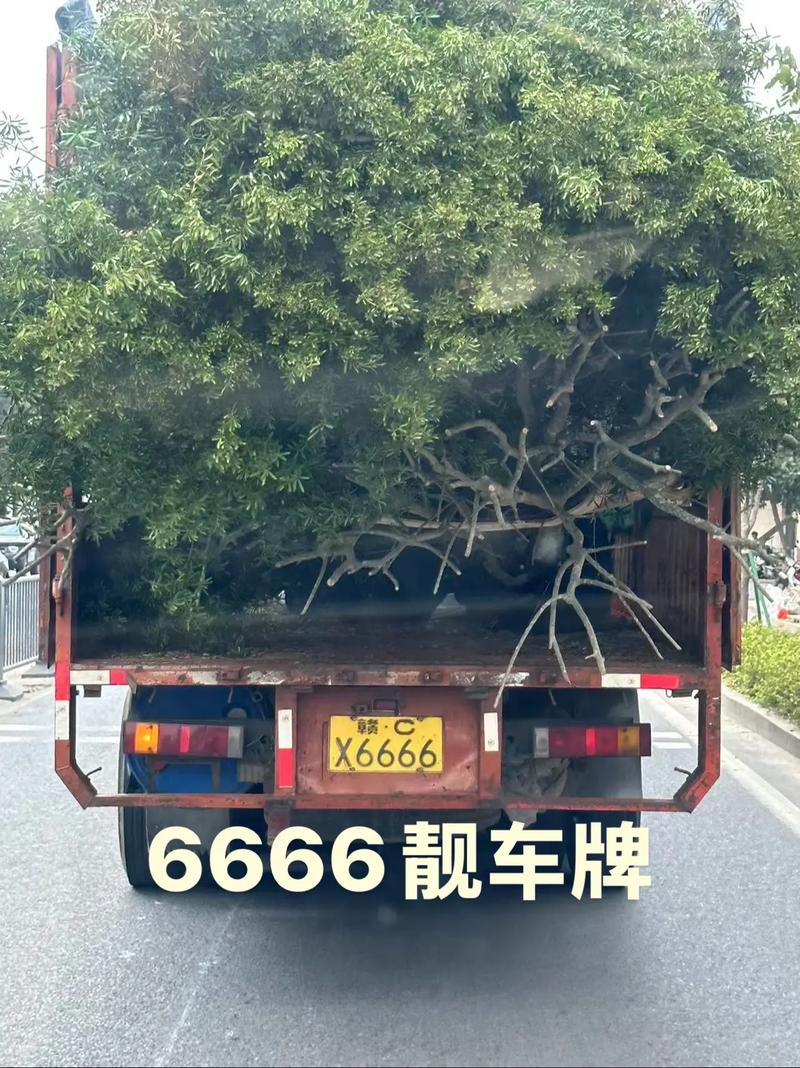 深圳惊现6666”车牌,靓号价值连城!