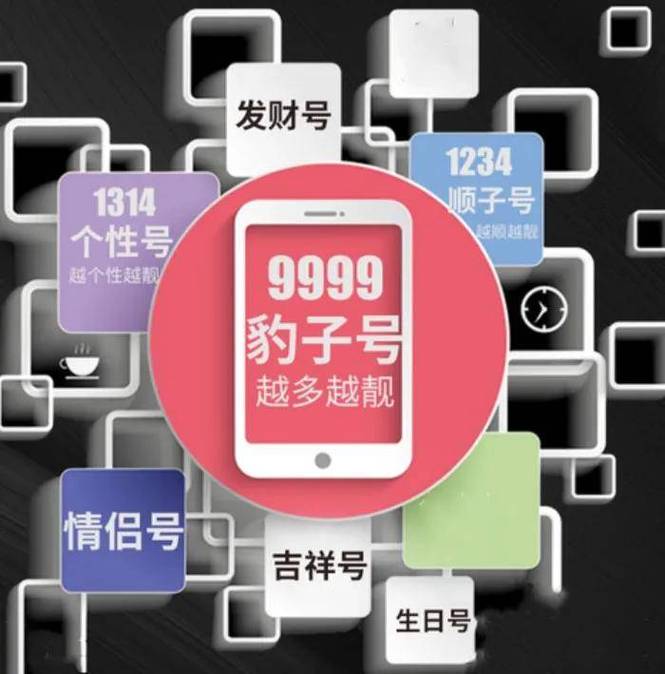 丽水车牌靓号大：一键查询热门靓号，车牌价值一探究竟！