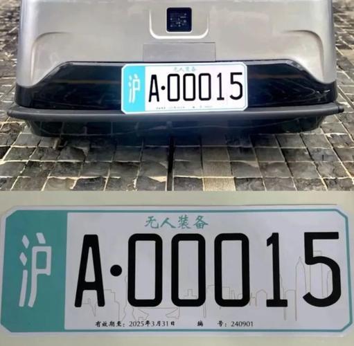 新晋车主喜提异地车牌,车牌新潮流引发热议!