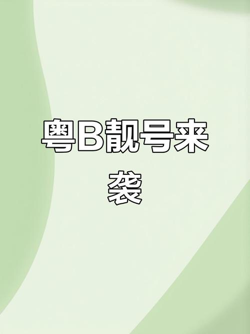 广州车牌靓号竟藏风水秘诀?靓号背后的神奇故事