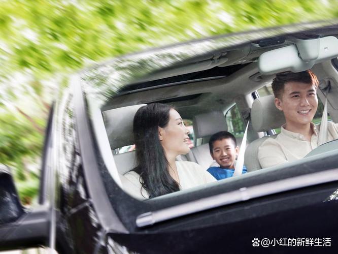 互换车牌新潮流:父母子女间独特的亲子车生活体验
