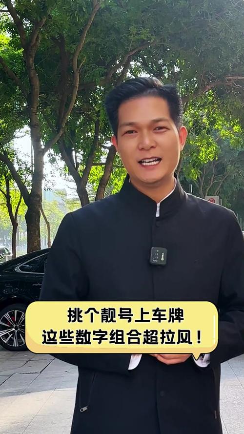 清远车牌靓号五连号,车牌中的明星,你的专属幸运符