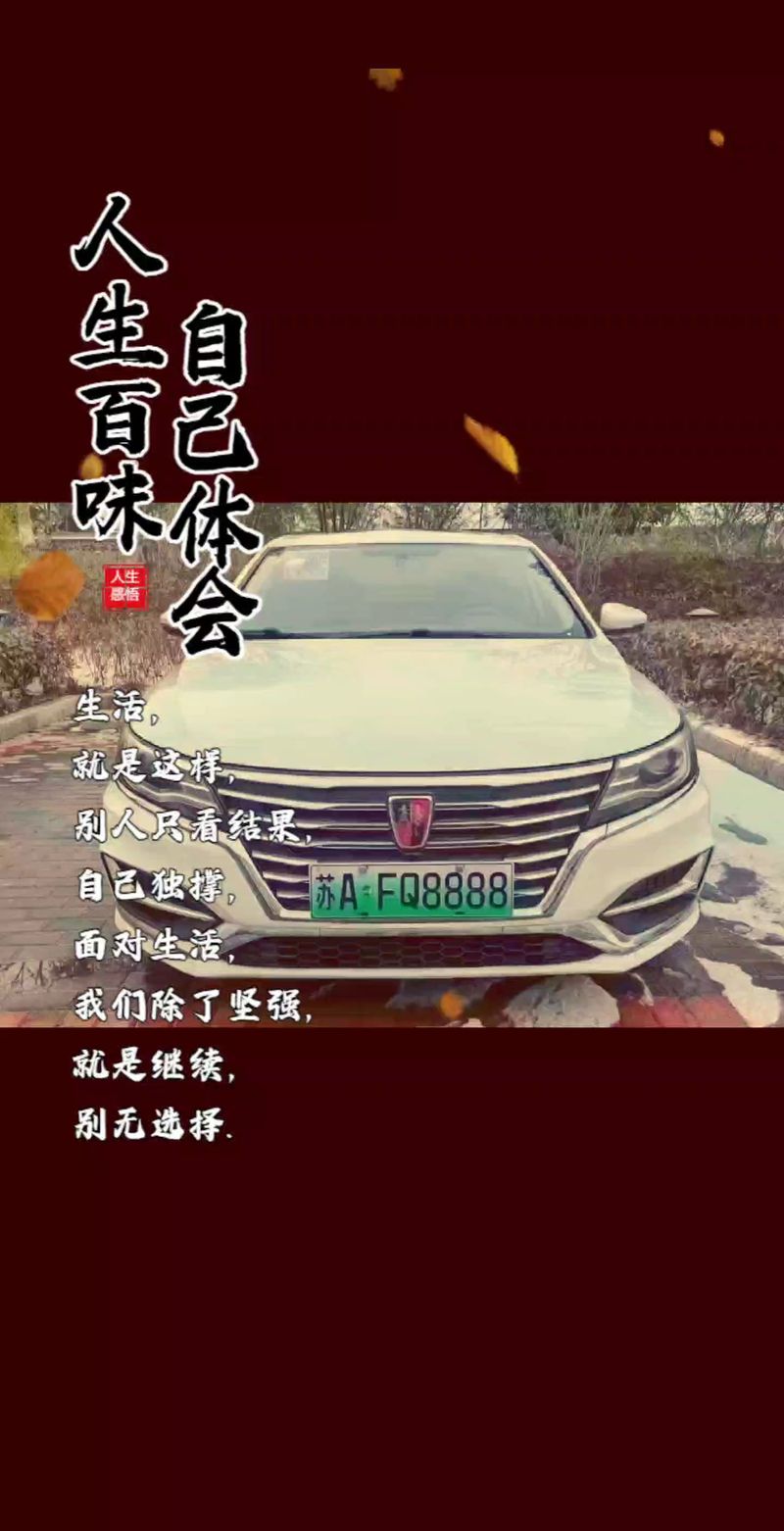 南京车牌靓号好点引发热议,车牌文化再升级