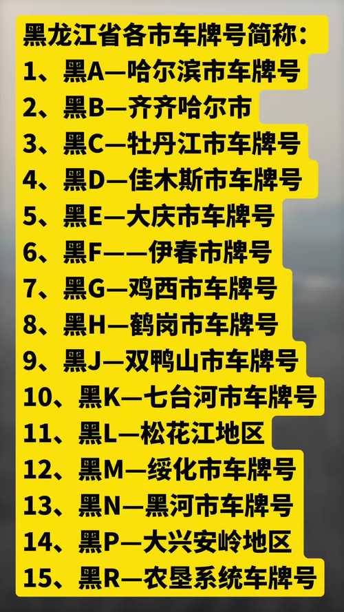 哈尔滨车牌靓号查询:探寻冰城靓牌风采