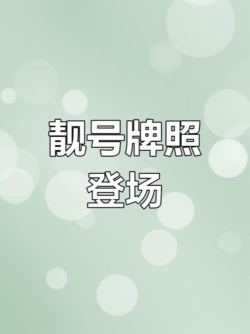 2023长沙车牌靓号揭晓,万元车牌引抢购热潮!”