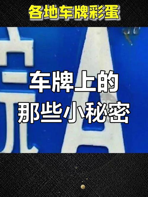 外科风云神秘车牌引发网友热议:揭开背后的秘密!