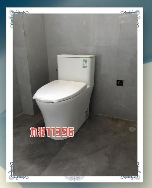 一座到位,安装抽水马桶,车牌见证新家风采