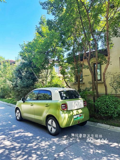 京城绿色出行新风尚:油电混合车牌成为焦点