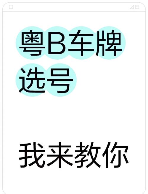 珠海车牌号网上选号,便捷服务来袭!
