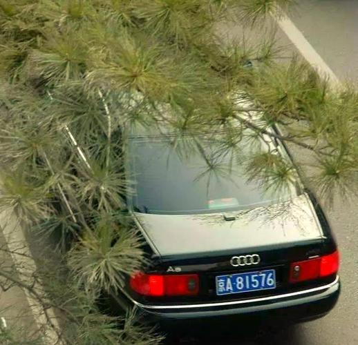 苏Y车牌背后的热门城市传奇