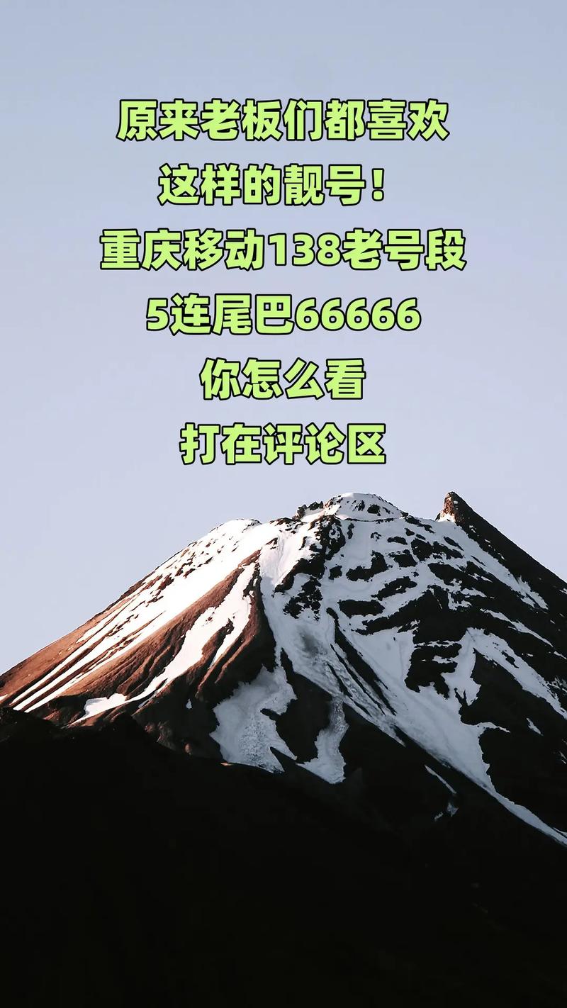 重庆靓号车牌:价格背后的故事
