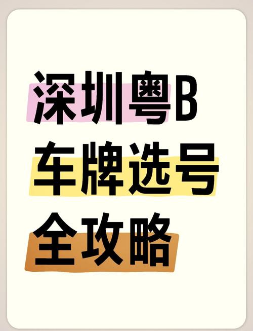 深圳车牌50选1,抢号大战一触即发!