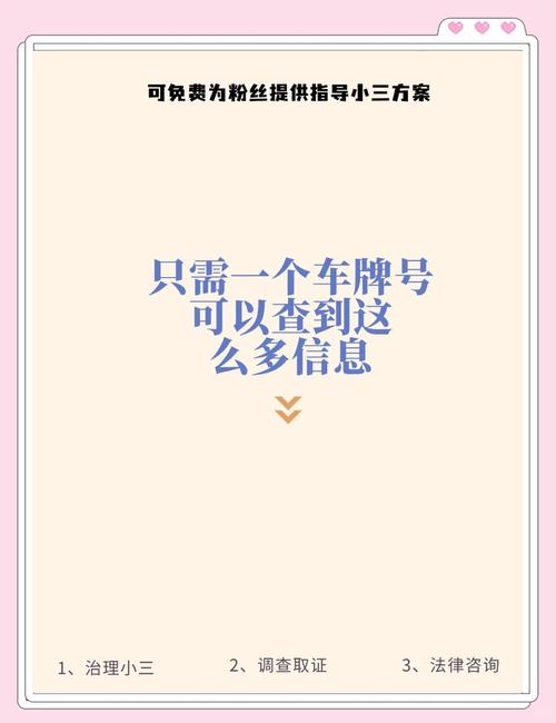 车牌号暗藏玄机,热门段子车牌号网址背后的趣味故事