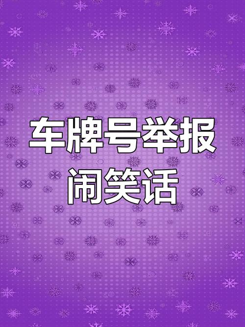 车牌号暗藏玄机,热门段子车牌号网址背后的趣味故事
