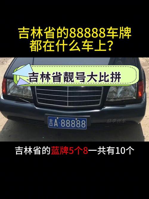 888车牌横空出世,竟比666更火爆!车牌背后的神秘力量!